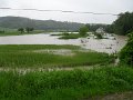 Povodne 203-2010   64